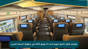 مواعيد قطار تالجو اليوم الأحد 27 يوليو 2025 على خطوط السكة الحديد